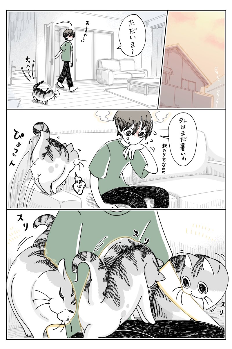 暑い日のネコ
https://t.co/O8snC4Fr89 