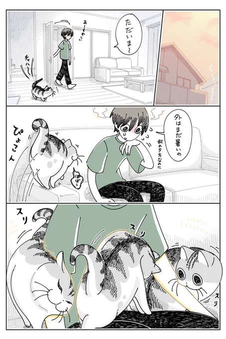暑い日のネコ
https://t.co/O8snC4Fr89 