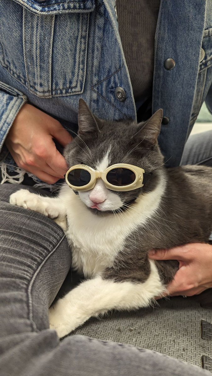 ｍｏｏｎｒｕｎｎｅｒ８３ tweet media