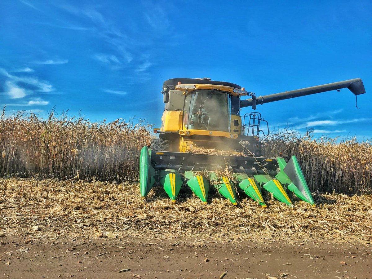 Cody Bowie tweet media