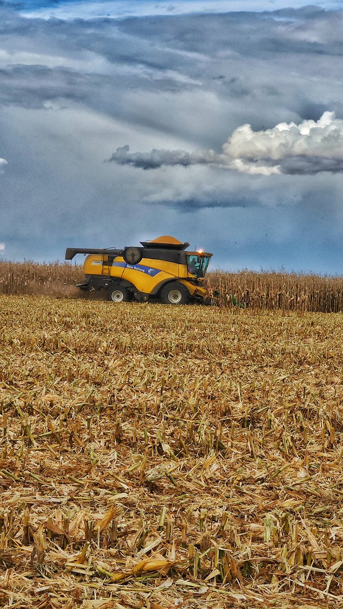 Cody Bowie tweet media