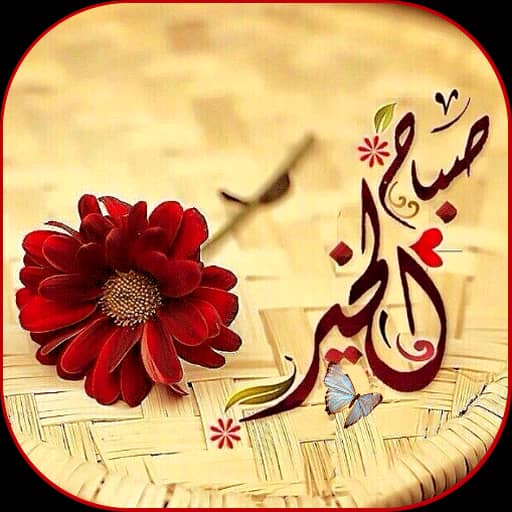 وحى الألم.....511@ tweet media