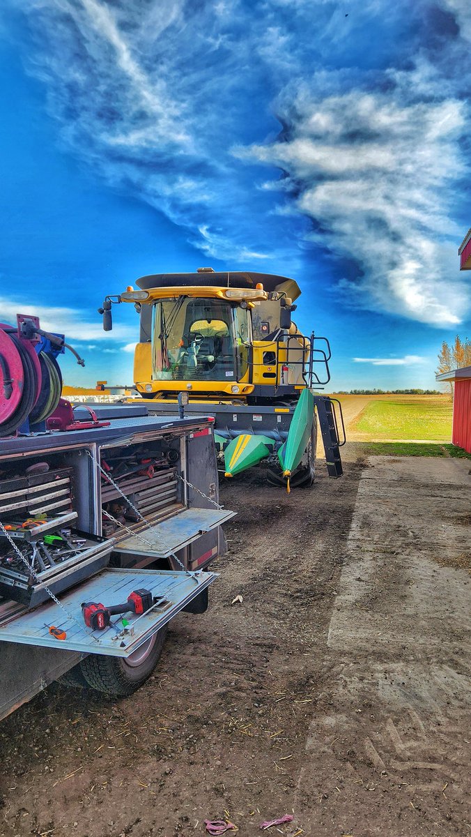 Cody Bowie tweet media