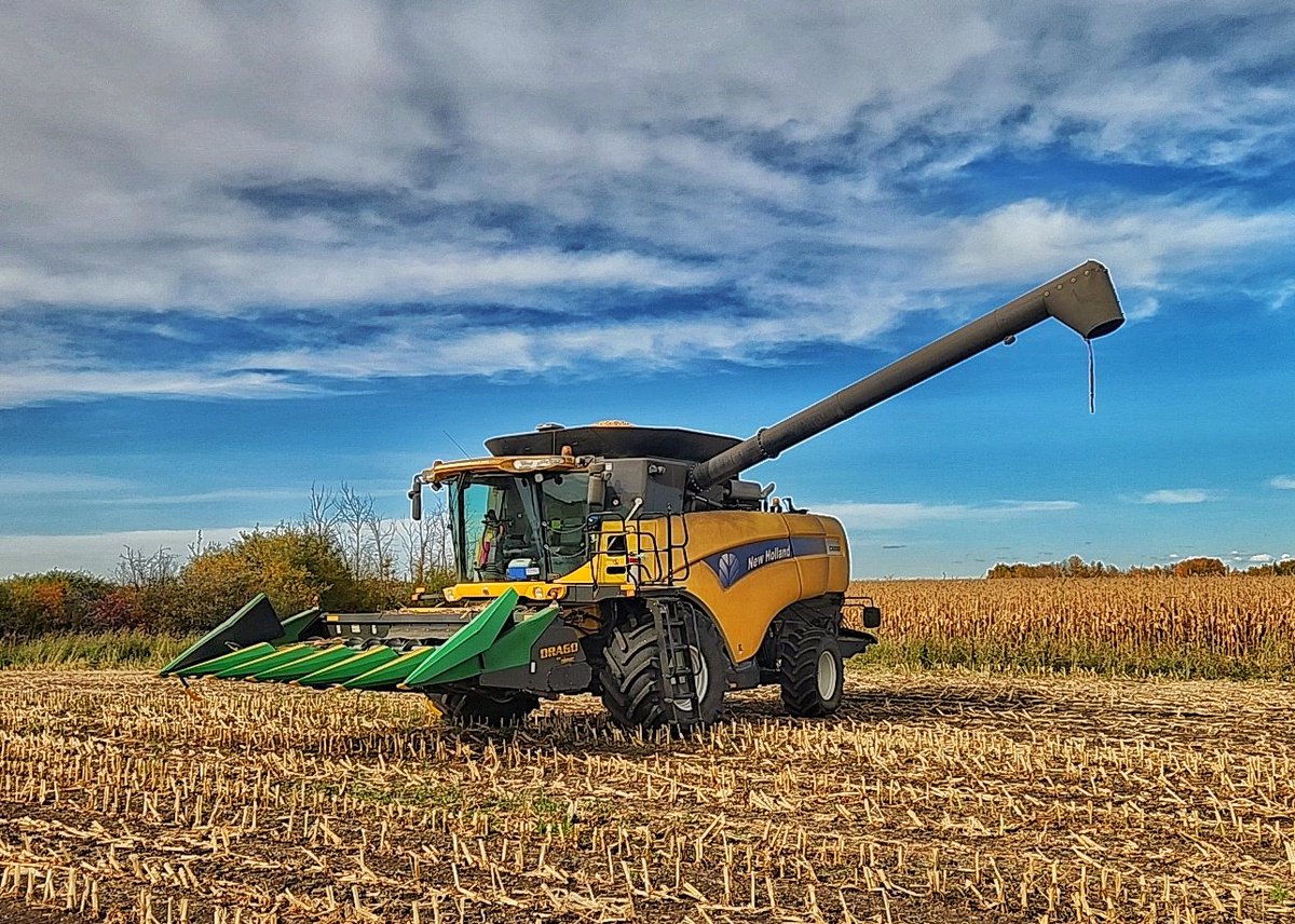 Cody Bowie tweet media