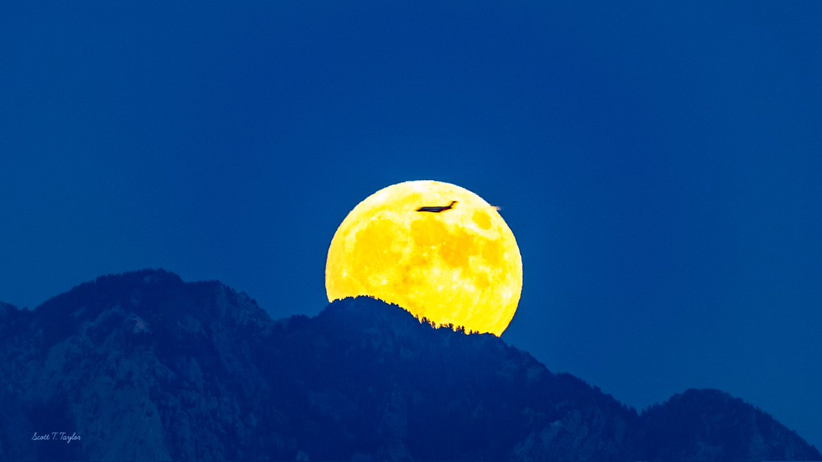 Grallon's tweet image. The last #supermoon of 2023 rising over the #Wasatch #mountains #Fullmoon #moon @abc4utah @dannahyer @ThePhotoHour @CanonUSAimaging @KUTV2News @StoryfulNews @KSL5TV @AlanaBrophyNews @fox13 @AllisonCroghan @natwxdesk @KSL_Matt @JadeElliottTV @KUTVMary