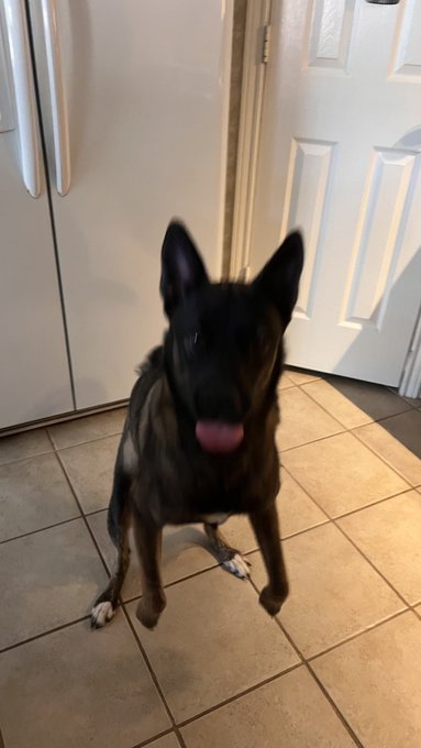 :p https://t.co/rlilbiLLGt