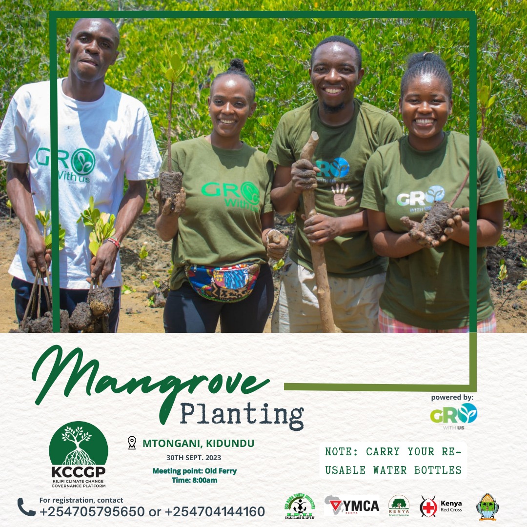 KCCGP_'s tweet photo. Join us tomorrow Saturday the 30th for Massive Mangrove conservation at kidundu Mtongani kilifi Creek Be counted leave no one behind #60MillionMangrove #KCCGP #GrowWithUs @Madaraka003 @DannyGona @kyom003 @ChristinOgola @KCCGP_ @GideonMungaroM @FRANKTHOYA @MangroveDAO https://t.co/P5hvQ3AVIS