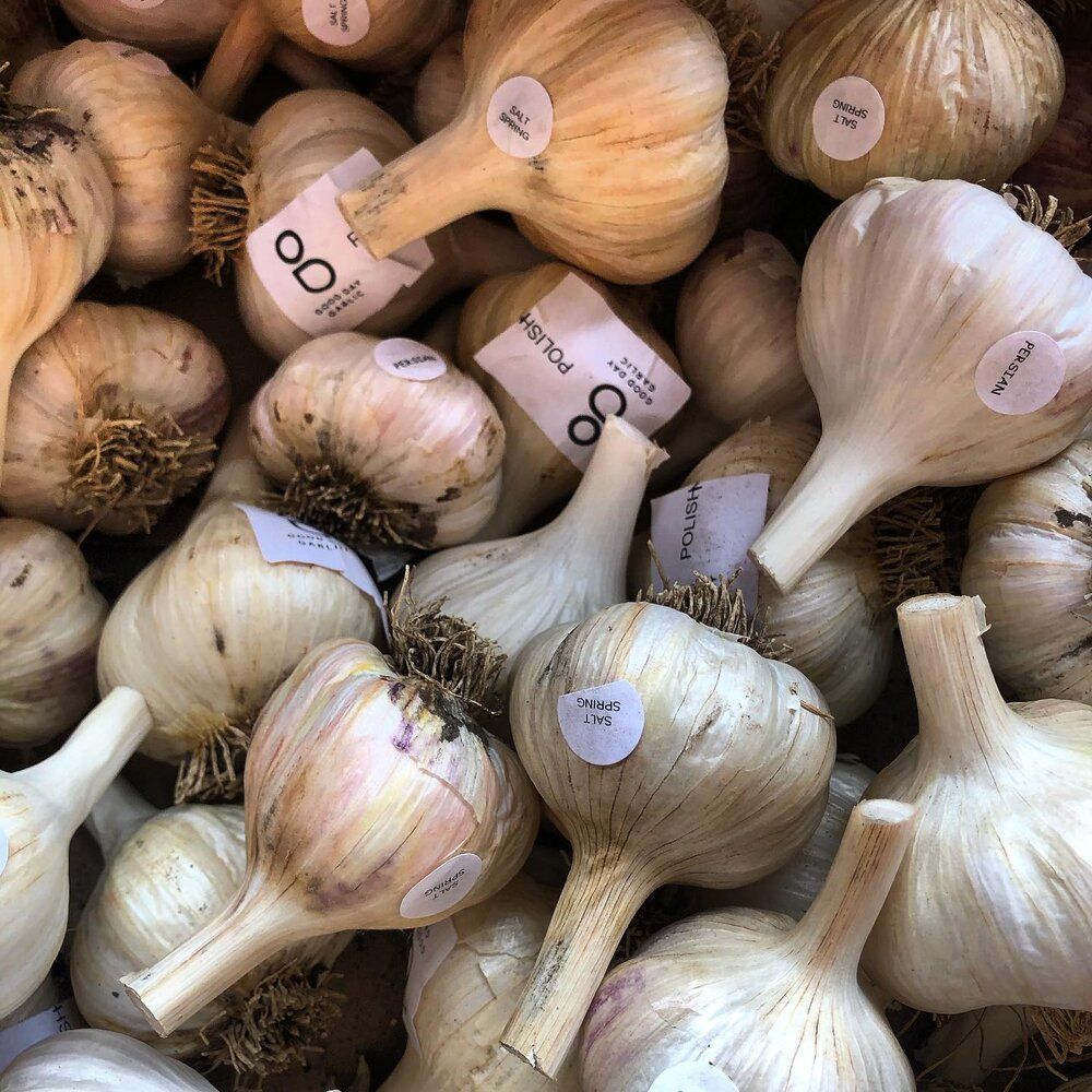 TorontoGarlic's tweet photo. Calling all garlic lovers! 🧄To celebrate #OntarioGarlicWeek the Garden Market at Evergreen Brick Works is hosting a Mini Garlic Festival this Saturday, Sept 30! 🎉

🧄 Meet garlic farmers, stock up on unique garlic varieties, get a free garlic shot from a garlic barista + more! https://t.co/Puob5lfoRS