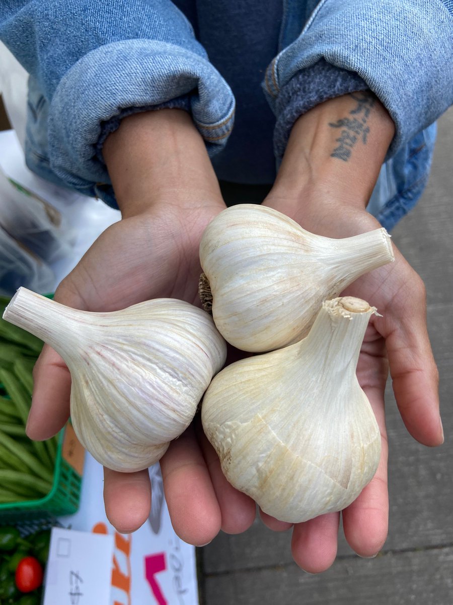 TorontoGarlic's tweet photo. Calling all garlic lovers! 🧄To celebrate #OntarioGarlicWeek the Garden Market at Evergreen Brick Works is hosting a Mini Garlic Festival this Saturday, Sept 30! 🎉

🧄 Meet garlic farmers, stock up on unique garlic varieties, get a free garlic shot from a garlic barista + more! https://t.co/Puob5lfoRS