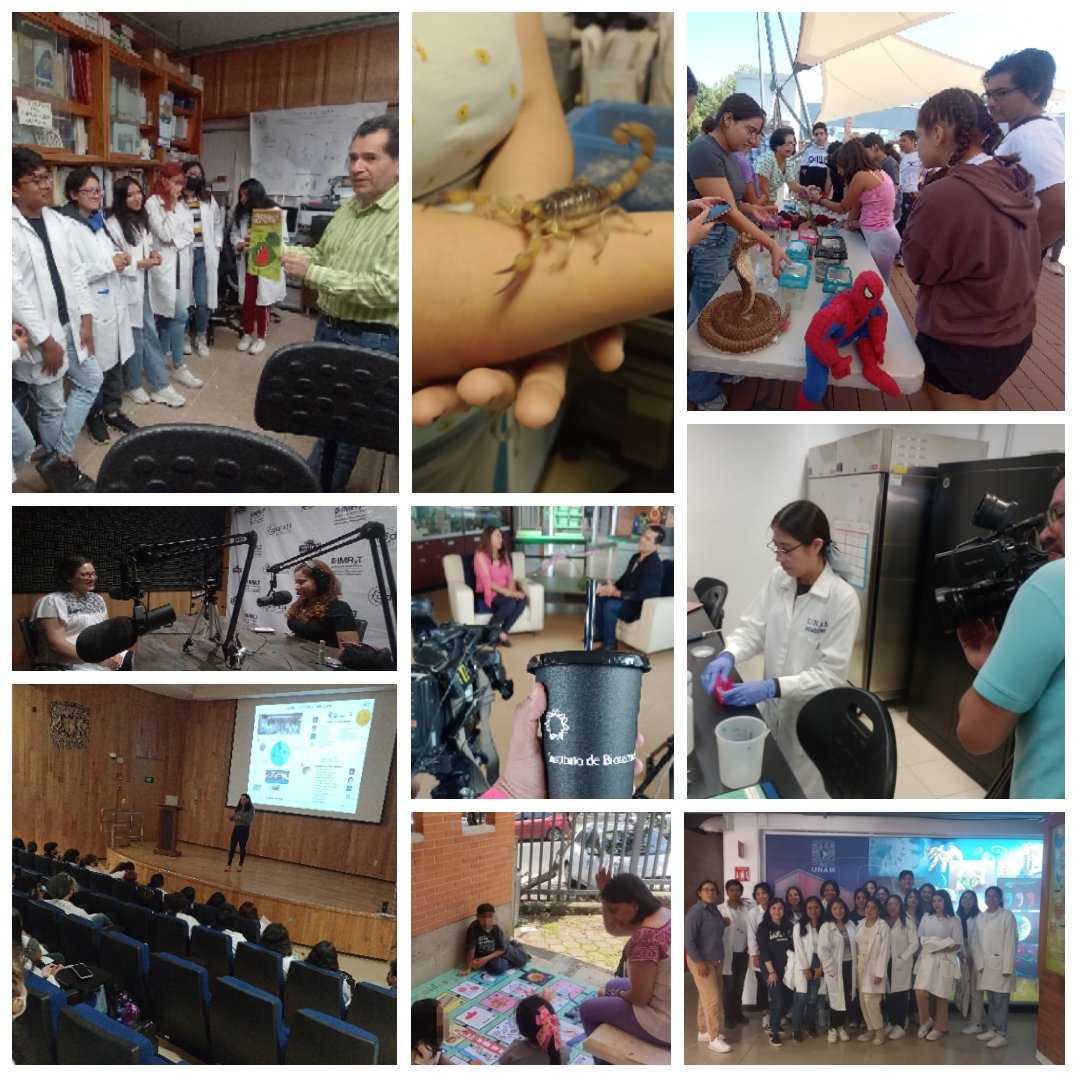 ibt_unam's tweet image. Reconocemos el rol de la divulgación y la comunicación pública de la ciencia así como la importancia de la cultura científica en nuestra vida diaria.

Estén preparados porque vienen muchas sorpresas #OrgulloUNAM #OrgulloIBT