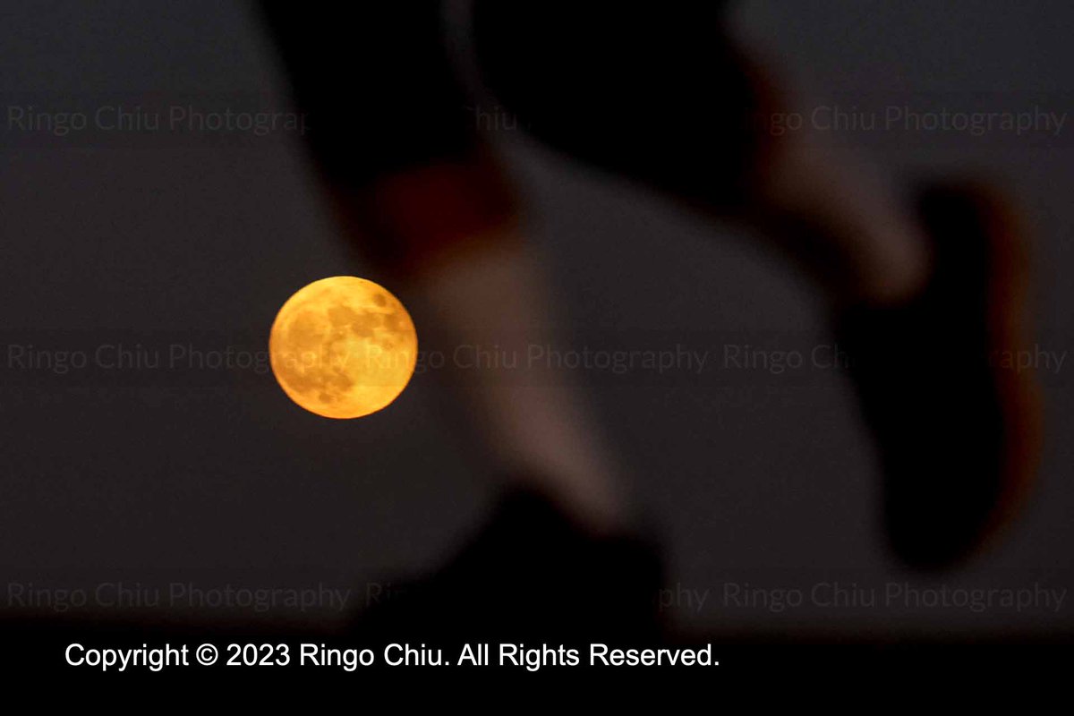 ringochiu's tweet photo. An almost full moon rises above the sky in Los Angeles, Thursday, September 28, 2023. The full harvest moon will shine in the early morning hours of September 29, also marking the fourth and final supermoon of 2023. #fullmoo #harvestmoon https://t.co/LeukJBa3BT