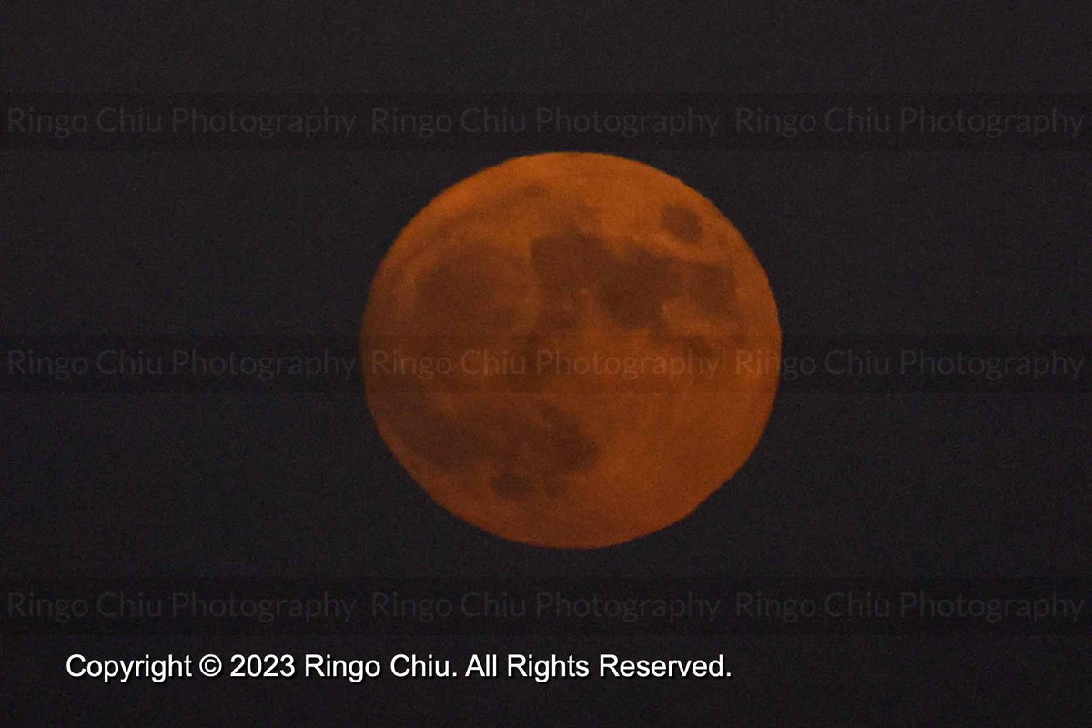 ringochiu's tweet photo. An almost full moon rises above the sky in Los Angeles, Thursday, September 28, 2023. The full harvest moon will shine in the early morning hours of September 29, also marking the fourth and final supermoon of 2023. #fullmoo #harvestmoon https://t.co/LeukJBa3BT