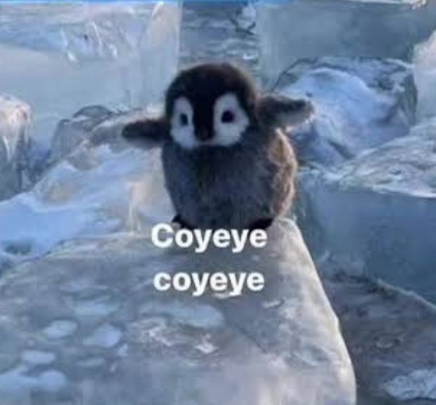 / me disculpo si he estado ausente.

Me han dejado una responsabilidad tremenda en el hospital así que ando bastante estresada.

Cuídense amores. Los veo mañana en la noche.