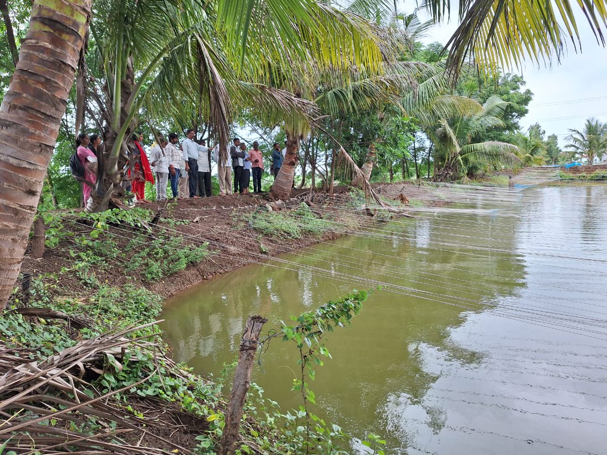 MPEDACOCHIN's tweet image. MPEDA, RD Mumbai organized five days training programme on “Sustainable Aquaculture & Aquaculture of Diversified Species” in Nandurbar District, Maharashtra from 12.09.2023 to 16.09.2023 for the benefit of farmers belong to ST community.
#mpeda #trainingprogramme
@DoC_GoI
