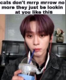 🐰 (@minhonmyphone) on Twitter photo 