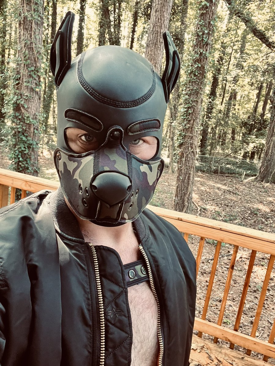 Next stop is A gates, A is for ALPHA