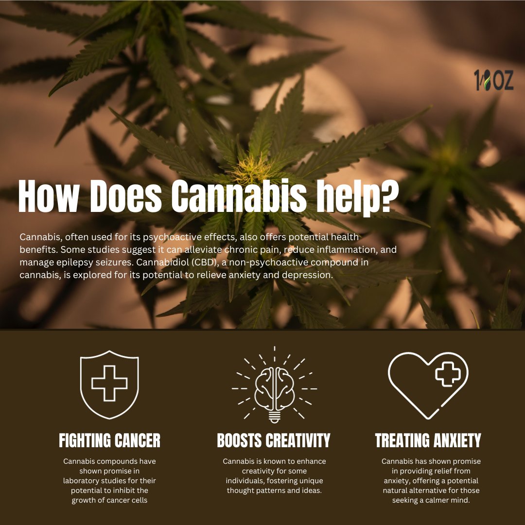 18ozcom's tweet photo. From pain relief and stress reduction to helping manage certain medical conditions, cannabis is truly fascinating. 🌿💚

#CannabisHealth #NaturalWellness #PlantMedicine #MindBodyBalance #CannabisCommunity #PainRelief #AnxietySolutions #HerbalHealth https://t.co/BpYSEIk6Q9