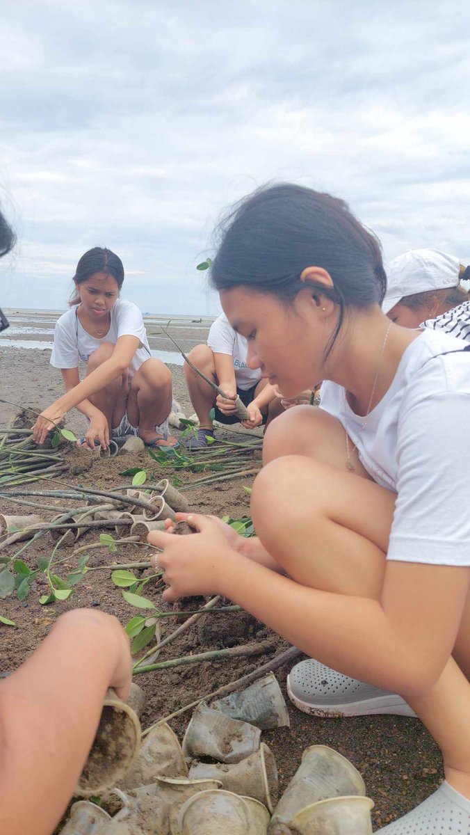 ElmaColiao's tweet photo. Mangrove planting
Click our beach collective post here:
https://t.co/0sj82iprob https://t.co/WqdCBVs0hC