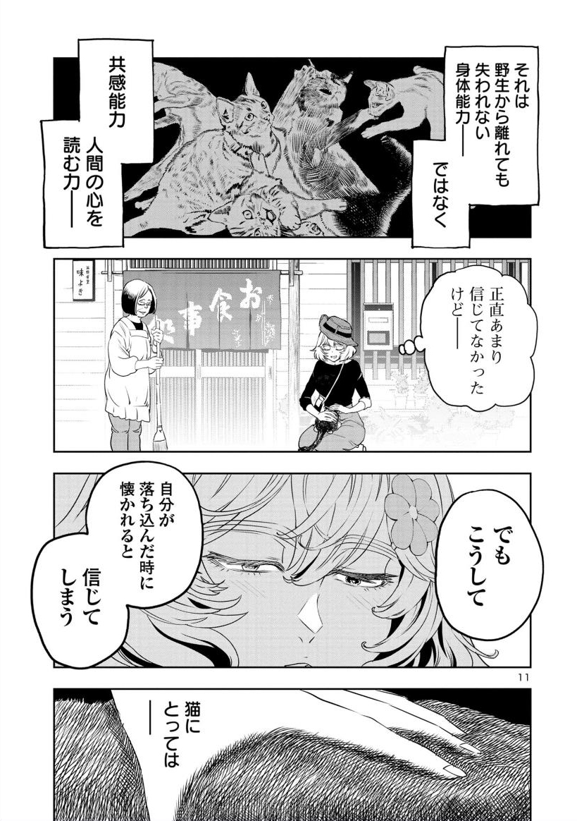 4/6  ねこはひとをみる