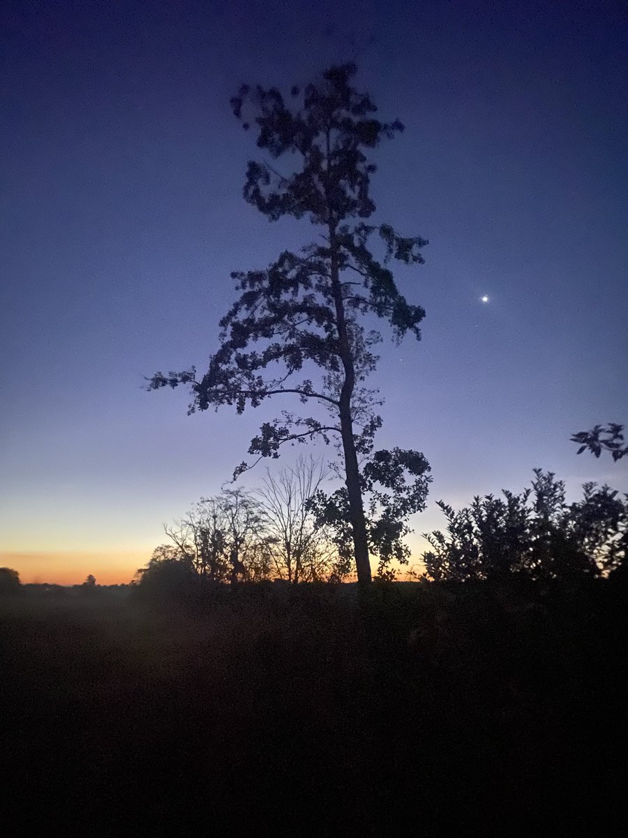 Einen wunderschönen Freitag wünsche ich Euch. 
Auf der einen Seite hatten wir heute morgen wieder einen herrlichen Sonnenaufgang und auf der anderen Seite den riesigen Mond. Und nun starten hier die Ferien.