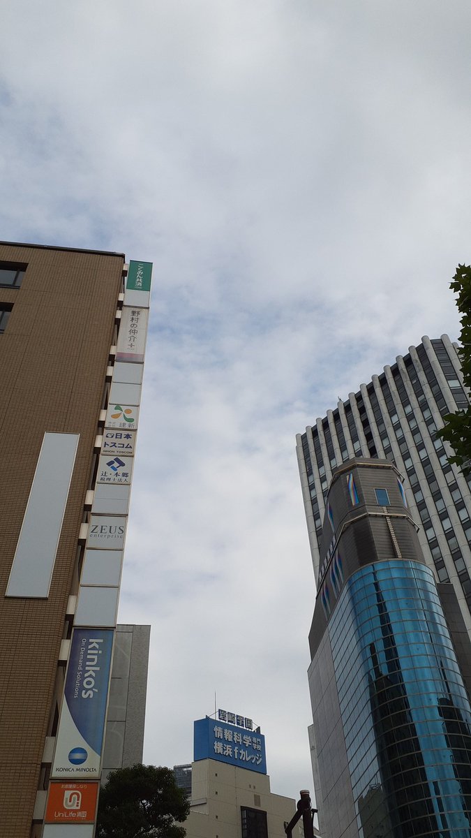 RE_days_'s tweet photo. こんにちは！
今日の #横浜 はくもりです☁️
今日は #洋菓子の日 です！ 
今日はプレミアムフライデーかつ中秋の名月の日でもあります🌕️
あと半日頑張って、月見団子などはいかがでしょうか？🎑

#企業公式つぶやき部 
#企業公式夏のフォロー祭り
#イマソラ 
#企業公式が毎朝地元の天気を言い合う https://t.co/8NmrcgPplU