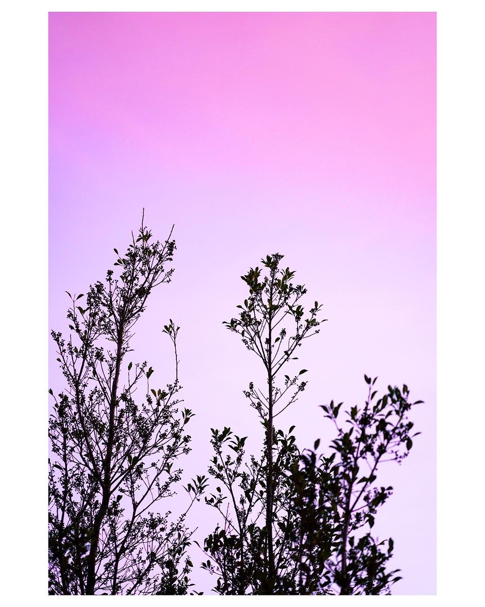 colorsofbokeh's tweet photo. Time to head home 
.
Day 24 of 365
#365series #sunsetpictures #sunsetcolorsfestival #colorsofbokeh #shotoniphone #shotoniphone15promax #sunrise_sunset_photogroup #sunrisephotography #dawntodusk #phonephotographer #posteveryday https://t.co/O1ICBYiXvq