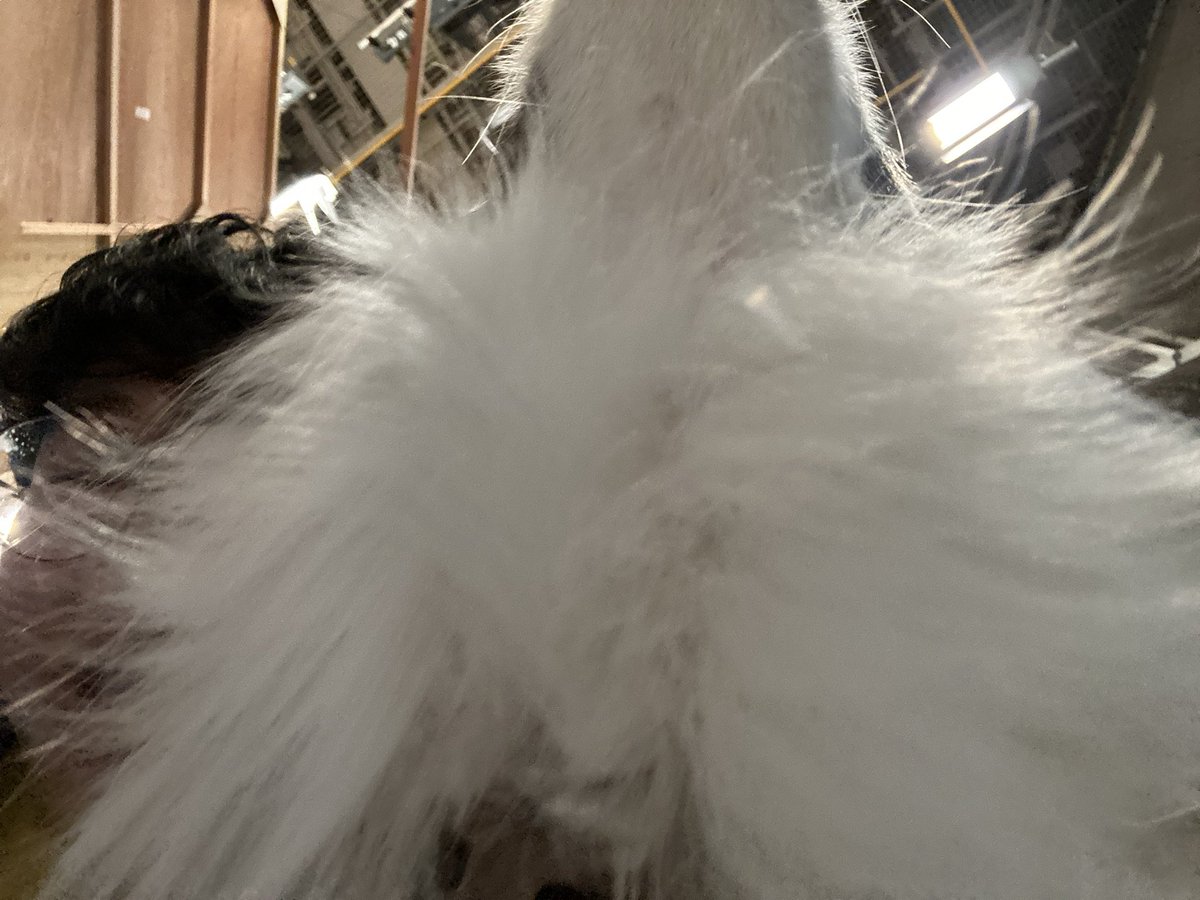 lcd_doma's tweet image. らすいじ