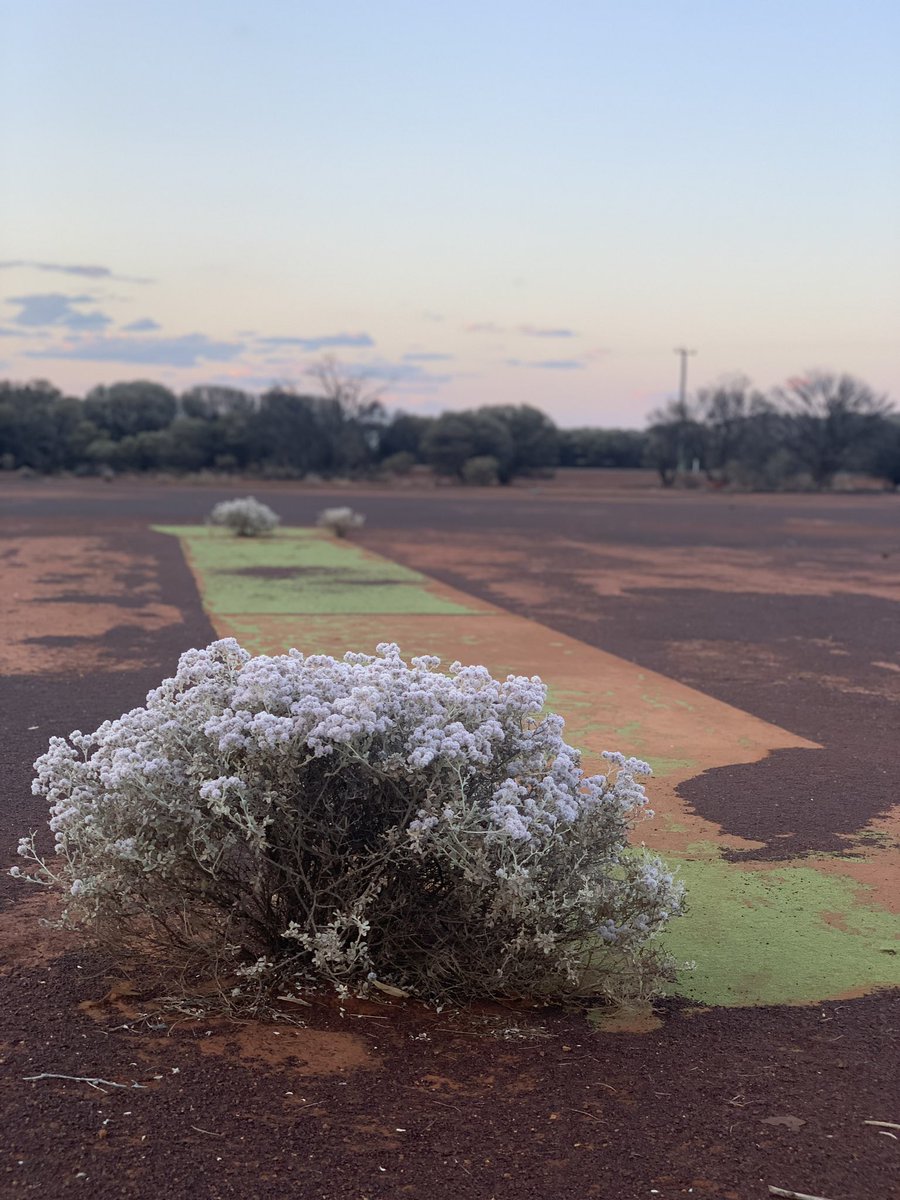 LesEverettFreo's tweet photo. The No2 pitch at Sandstone https://t.co/WM6Njb0dpQ