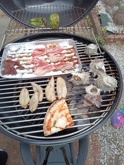 サザエさんとフグ 