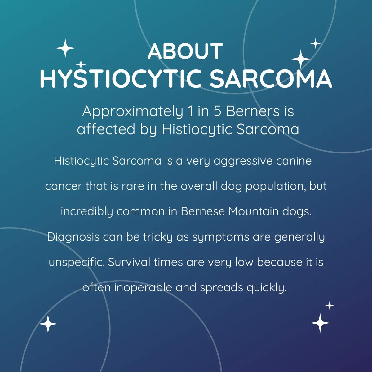 shipyarn's tweet photo. In memory of our beloved Pico, I am holding a fundraiser to support the Berner-Garde foundation. They are an amazing organization that is working to support research into histiocytic sarcoma, especially in bernese mountain dogs. https://t.co/fSdXyYCAqz