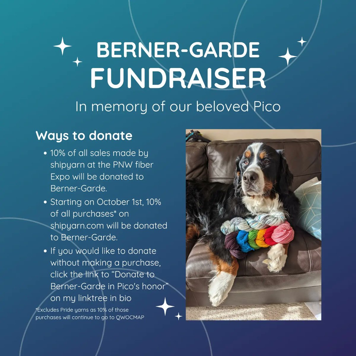 shipyarn's tweet photo. In memory of our beloved Pico, I am holding a fundraiser to support the Berner-Garde foundation. They are an amazing organization that is working to support research into histiocytic sarcoma, especially in bernese mountain dogs. https://t.co/fSdXyYCAqz