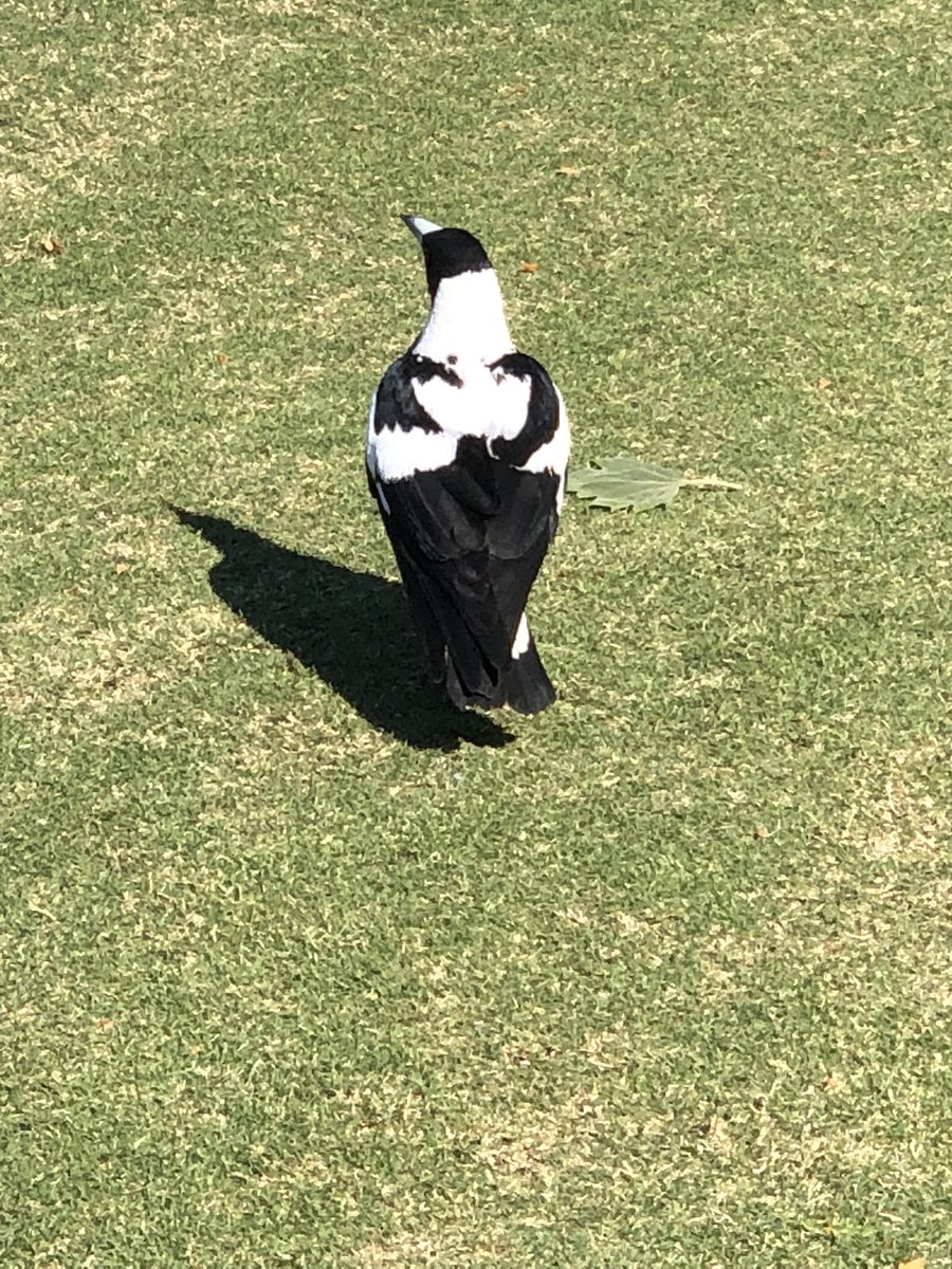 Jason Evans tweet media