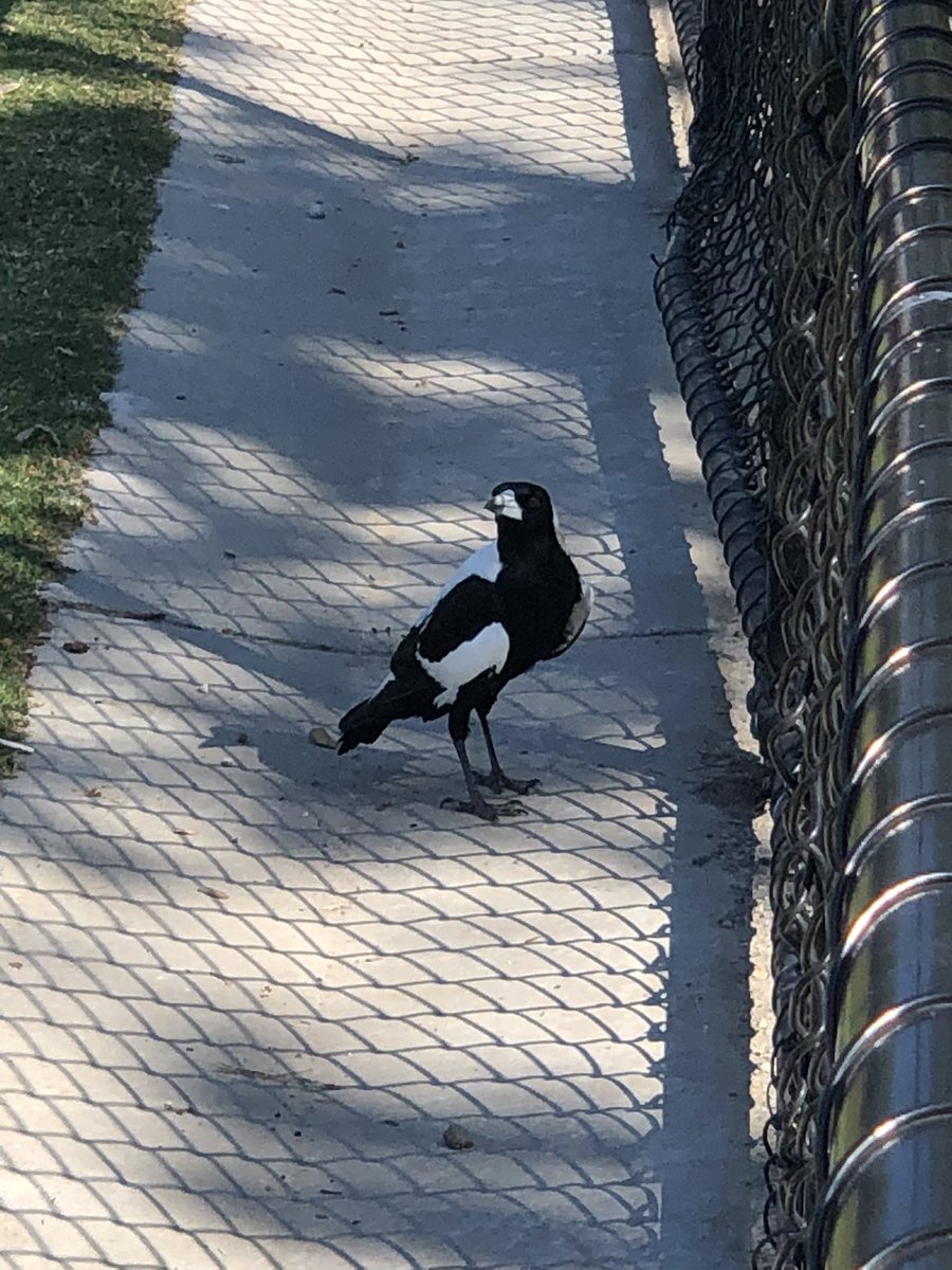 Jason Evans tweet media