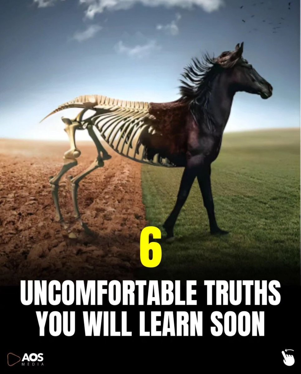 SucceededMind's tweet photo. 6 Uncomfortable Truths You Will Learn Soon: https://t.co/8h4BOrNz8G