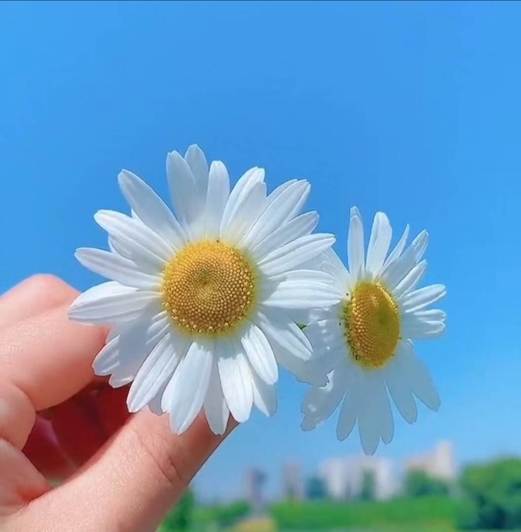 xz1268's tweet photo. 中秋愉快 https://t.co/Nd49ukcnM6
