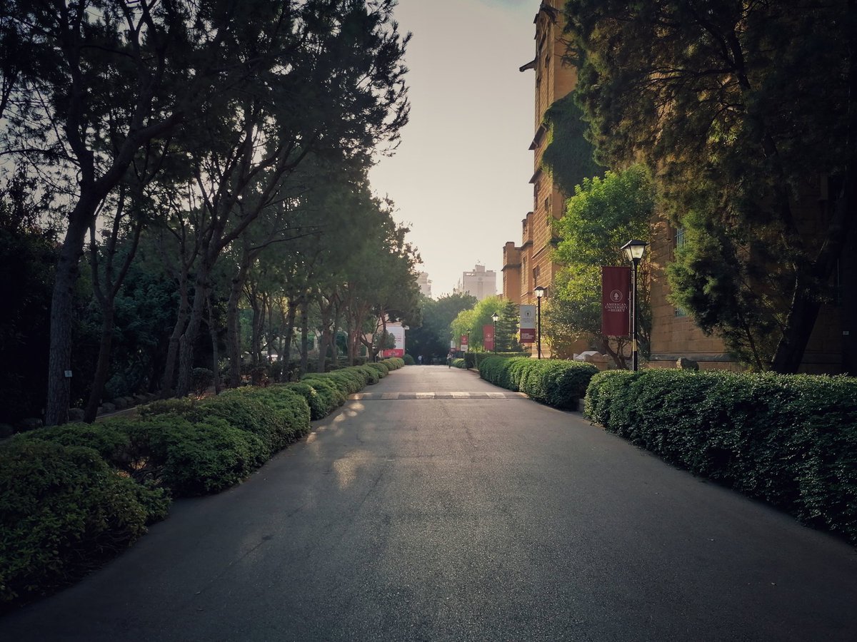 Rise and shine from the stunning @AUB_Lebanon campus!
Grateful for the #PositiveEnergy this place exudes. 🙏
#AUB #CampusBeauty #MorningWalk #Gratitude #ProfessionalLife