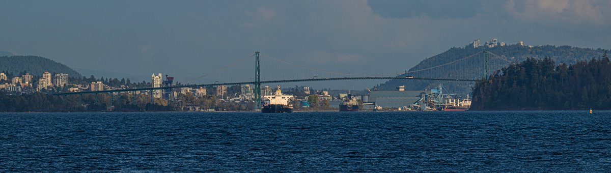 MarksGonePublic's tweet image. With the right camera gear I can be entertained for hours sitting in the same spot. So much beauty all around. #LightHousePark #WestVan