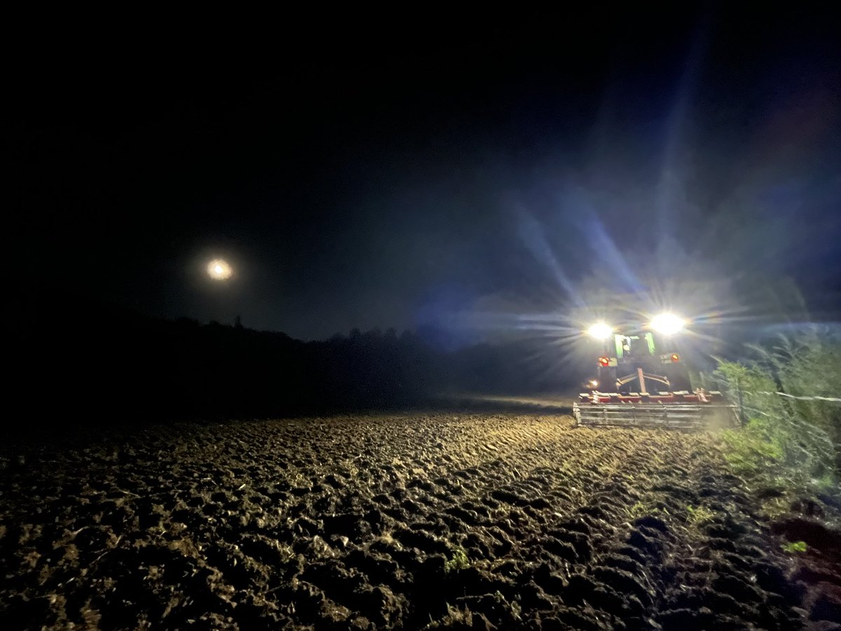 Imma Puigcorbé tweet media