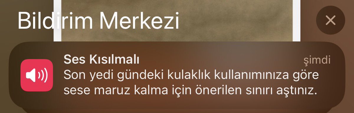 demek ki kafamizda susturamadigimiz seyler var kardesim sizi ilgilendirmez