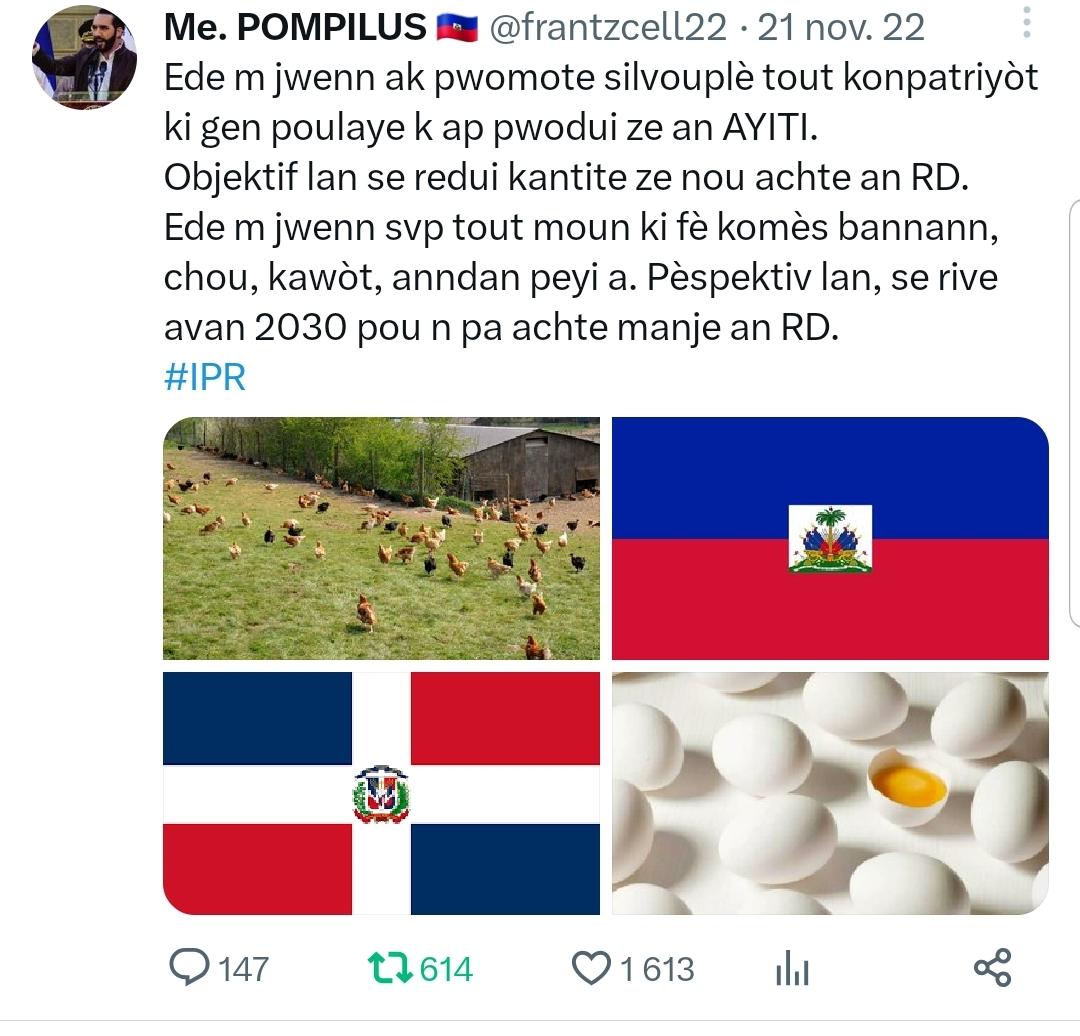 frantzcell22's tweet photo. Dans la vision de #Haïti-Perspective #2030IPR la promotion de nos entreprises locales oeuvrant dans le secteur agricole et d'élevage, notamment celles qui produisent des œufs et poules toutes catégories confondues sont notre priorité. Vous voulez des poussins ? Contactez-nous! https://t.co/piFmOgMcAb