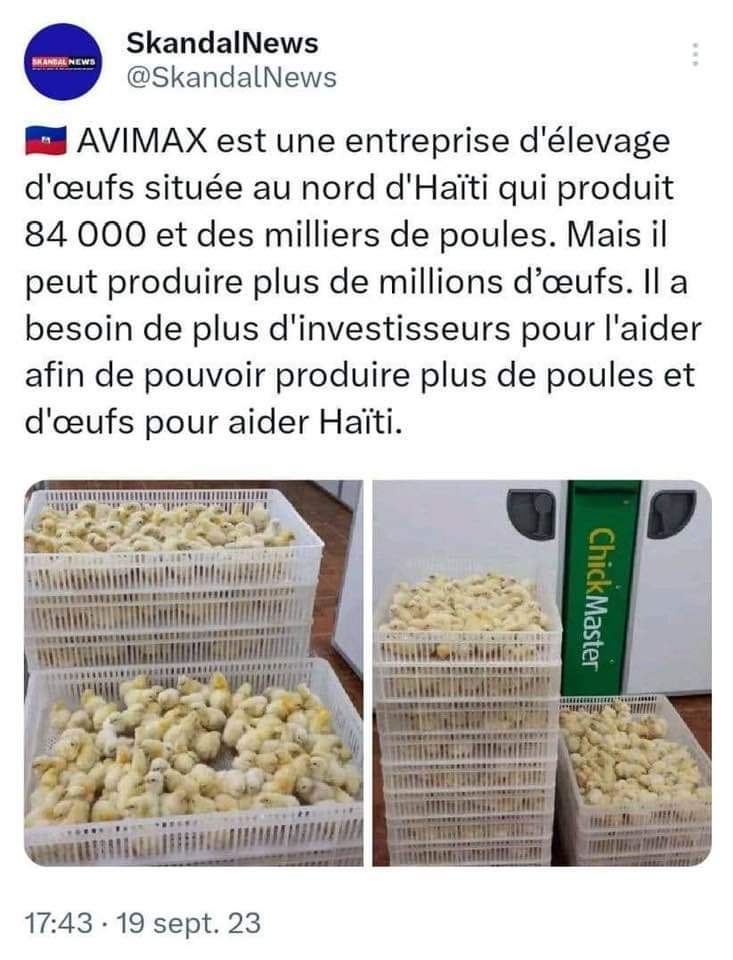 frantzcell22's tweet photo. Dans la vision de #Haïti-Perspective #2030IPR la promotion de nos entreprises locales oeuvrant dans le secteur agricole et d'élevage, notamment celles qui produisent des œufs et poules toutes catégories confondues sont notre priorité. Vous voulez des poussins ? Contactez-nous! https://t.co/piFmOgMcAb