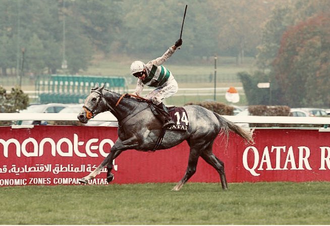 FrankelWatch13's tweet photo. My favourite Arc De Triomphe winner: ALPINISTA (Frankel x Alwilda) 🤍💚 @Lanwades https://t.co/mhKNyRQHgW