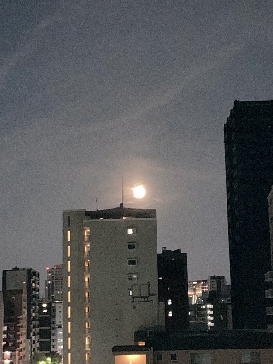 Tafuta5026's tweet photo. 今日の夕飯。
今日は在宅勤務だったから仕事が終わった途端に夕飯支度を始めました。いつものダッチオーブンにオクさんがイタリアフェアで買ってた仔牛のステーキ、オイルサーディン缶、シーフードアヒージョ。晩酌は #GOOSEIPA
やっぱりイタリアン好きだなぁ https://t.co/FRQel9Xhlj