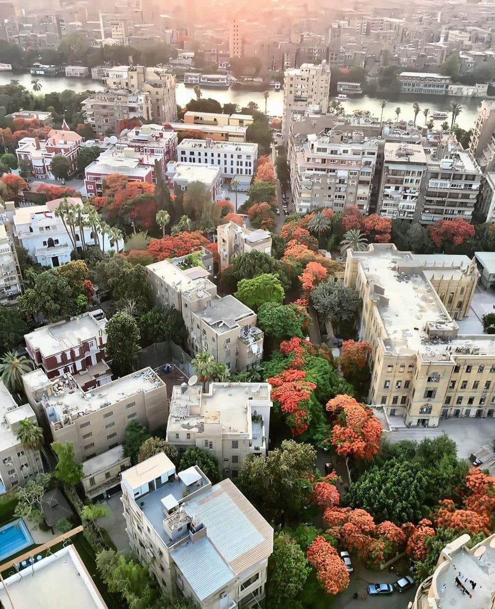 Arabbeau's tweet photo. Cairo, Egypt https://t.co/SEN9OcJUuJ