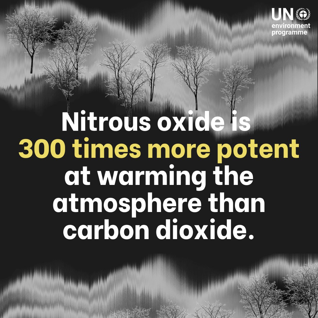 When addressing the climate crisis, the focus often centers on carbon dioxide emissions & methane. Yet nitrous oxide is 300 times more potent & remains active in the atmosphere for more than 100 years. Urgent action is needed to #BeatNitrogenPollution: unep.org/interactives/b…