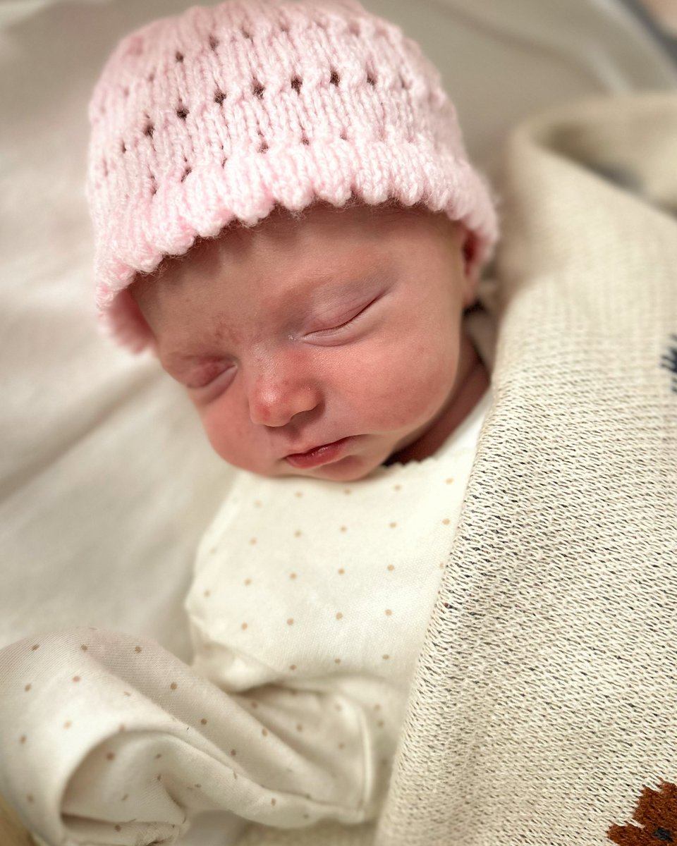 ✨📚 Miss Hacker FCCT 📚✨ tweet media