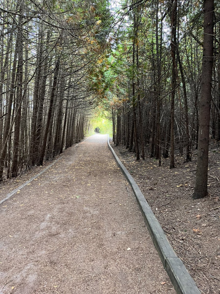 We had such a great time yesterday at Island Lake learning about all things water! <a href="/ugdsb/">Upper Grand DSB</a> <a href="/GrandvalleyDPS/">Grand Valley DPS</a>