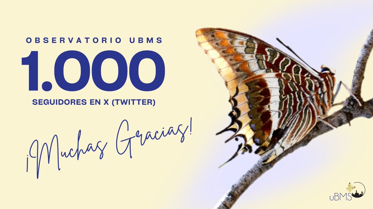 Hemos superado la cifra de los 1.000 seguidores 🥳
Muchas gracias a todos los amantes de las #mariposas que nos seguís apoyando día tras día en esta red social y, por supuesto, a nuestro voluntariado por su gran labor de #cienciaciudadana 🦋👏