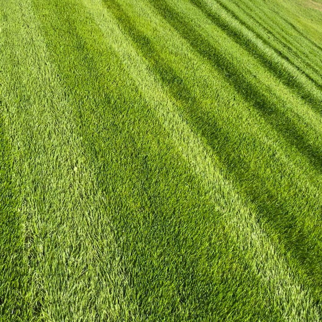 Landscape Services tweet media