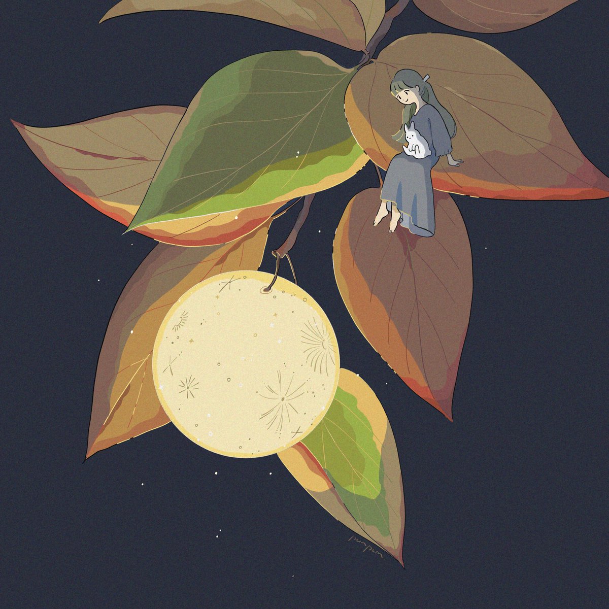 「満月の実 」|ぷんぷんのイラスト